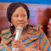 Prof. Jane Naana Opoku-Agyemang