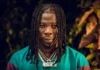 Who Is Stonebwoy? Everything You Need to Know About the Ghanaian Superstar Who is stonebwoy