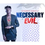 Necessary Evil Album Stonebwoy